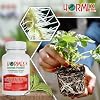 Hormex Rooting Powder #8 & Vitamin B1 Hormone Concentrate Combo - Root Stimulator for Semi-Hardwood Cuttings & Liquid - Perfect for Hydroponics, House Plants, Gardens, Fruits & Vegetables, 21g & 8oz