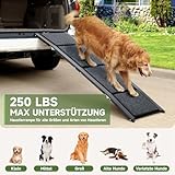 The Fellie Große Hunderampe Auto Klappbar 170CM, Hundetreppe Mit Rutschfester Teppichoberfläche Für Große, Mittlere Und Kleine Hunde, Tragbare Hunderampe Für SUV Auto & LKW, Hundetreppe Bis Zu 110KG