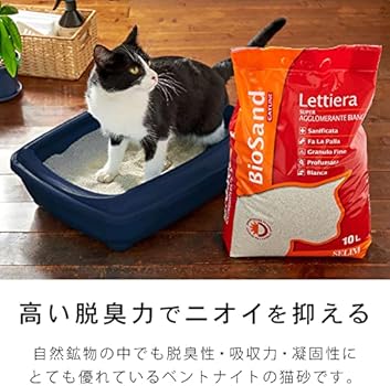 biosand cat litter