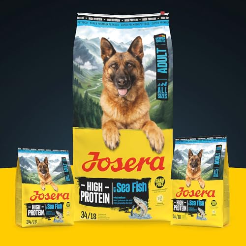 JOSERA Adult High Protein Seefisch (1 x 900 g) | Premium Trockenfutter für ausgewachsene & sportliche Hunde | Lachs & Süßkartoffel | getreidefrei & proteinreich | L-Carnitin & Taurin | 1er Pack