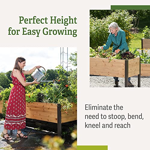 Gardener's Supply Company Elevated Cedar Raised Garden Bed | 2' x 8' Heavy Duty Standing Planter Box with Aluminum Corners for Outdoor Plants Vegetables Flowers | Perfect for Patio & Backyard