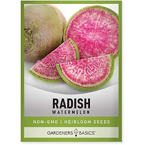 Watermelon Radish Seeds for Planting Cover