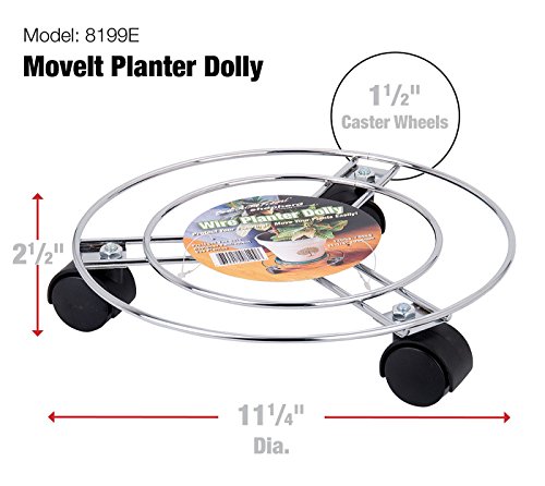 Shepherd Hardware 8199 Planter Caddy Dolly, Chrome Finish, 120-Lb Load Capacity, 1-1/2-Inch Casters #TOP4