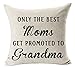 Andreannie Best Only The Best Moms Get Promoted to Grandma Blessing Cotton Linen Throw Pillow Case Cushion Cover Home Office Decorative Square 18 X 18 Inches