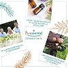 PURESSENTIEL HUILE ESSENTIELLE Eucalyptus Radie BIO (10 ml)