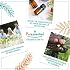 PURESSENTIEL HUILE ESSENTIELLE Eucalyptus Radie BIO (10 ml)