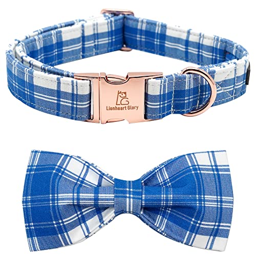 Lionheart Glory Hundehalsband, Hundehalsband für Jungen, Fliege, Blau, verstellbares Hundehalsband mit Fliege, niedliches Geschenk, Schleifen, Hundehalsband für mittelgroße Hunde Cover