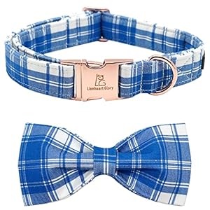 Lionheart glory Dog Collar, Boy Dog Collar Bowtie Blue Adjustable Dog Bowtie Collar Bows Dog Collar for Small Dogs