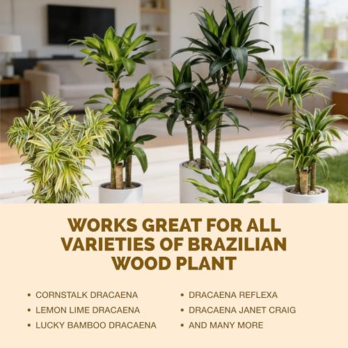 Fertilizante Líquido para Plantas Brazilian Wood 8 oz miniatura 6