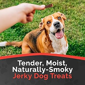 Miss nellys  rooster jerky canine treats  smooth sticks  usa made and sourced  unique smoke home recipe  small batch rooster jerky for canines  minimally processed  16 oz Bag   cucciolini doodles