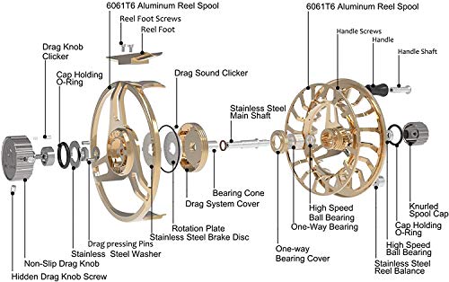 MAXIMUMCATCH Maxcatch AVID PRO Fly Fishing Reel with CNC-machined Aluminum Body Super Large Arbor Design-3/5, 5/7, 7/9 Weights - Image 3
