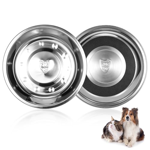 TranRantic 2 Pcs Stainless Steel Cat Bowls, Cats Food Bowls