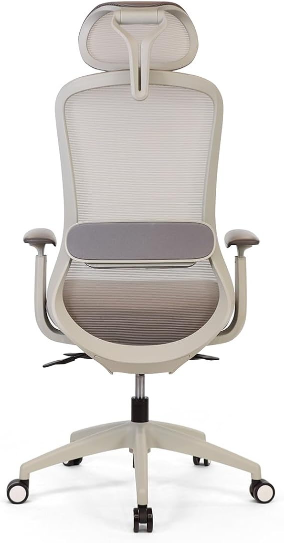 Seduna Ruben Plus Gray Office Chair | Executive Chair (Grey)