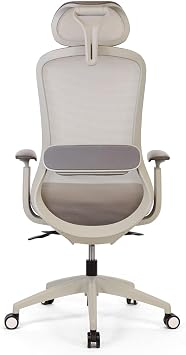Seduna Ruben Plus Gray Office Chair | Executive Chair (Grey)