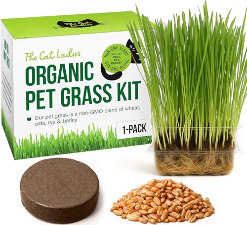 The Cat Ladies Cat Grass Growing Kit - Organic Seed,