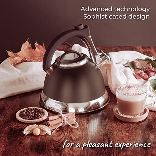 Whistling Tea Kettle with iCool - Handle, Surgical Stainless Steel Teapot for All Stovetops, 2 Free Infusers Included, 3 Quart by Pykal