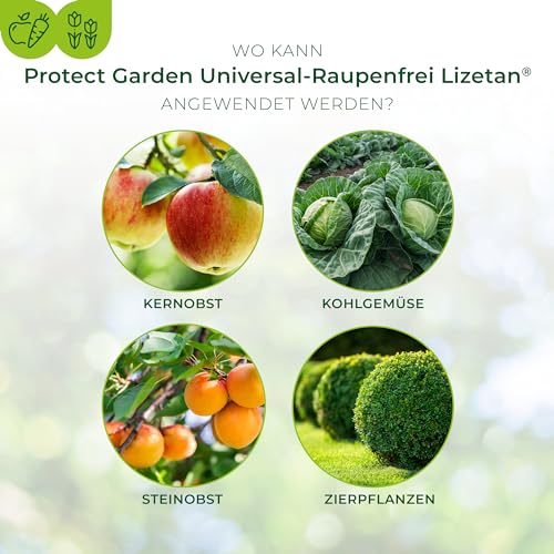 Lizetan Universal-Raupenfrei, Spritzmittel gegen schädliche Raupen und Zünsler an Zierpflanzen, Gemüse und Obst, 9 ml Konzentrat 2