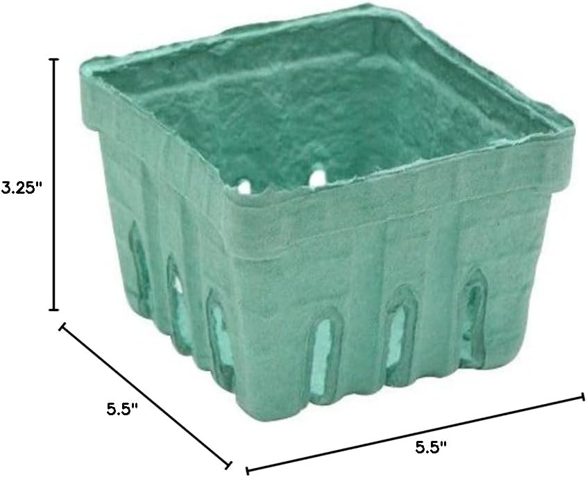 Pactiv 1 Quart Sized Garden Party Berigard Berry Basket Molded Fiber Green | 297/Case