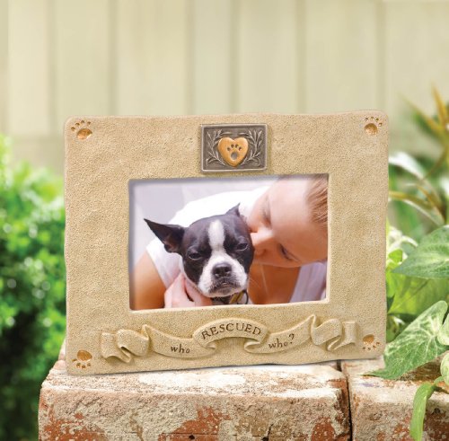 Grasslands Road Rescued Picture Frame, 4 By 6-Inch #TOP1