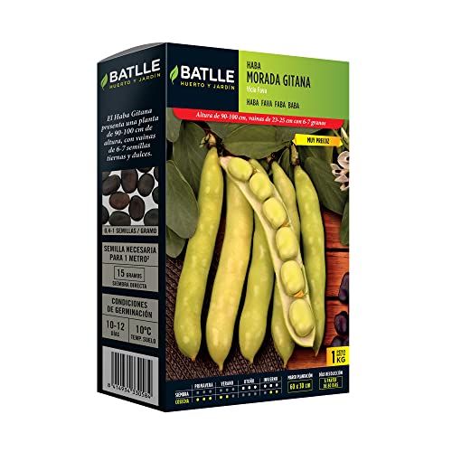 Semillas Batlle Haba Morada GITANA