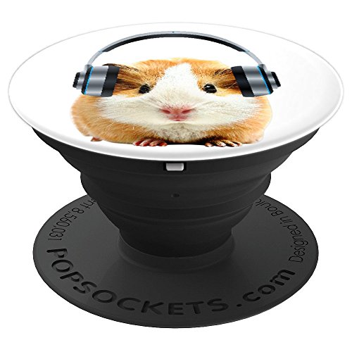 Fat Guinea Pig Listening To Rock Music With Headphones On