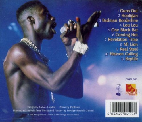 Vista 2 de Ninja Is a Ninja