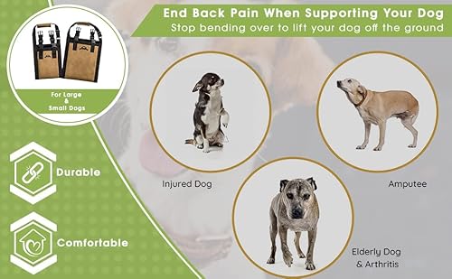Dog Lift Harness - Dog Support Harness - Dog Stair Lift - Dog Car Lift For Disabled Dogs, Elderly Dogs, Injured Dogs - Support Dogs Back Legs - Rehabilitation Harness. Travelin' K9 Medium Or Large #TOP5