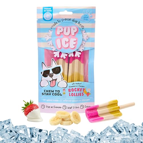 SPOT Pup Ice- Ready to Freeze at Home Dog Treats-Edible