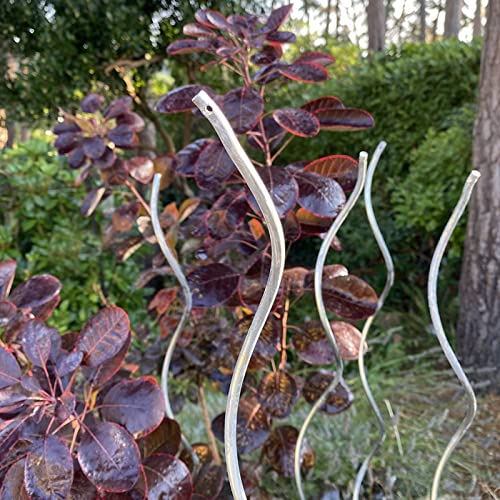 View 3