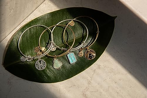 Alex and Ani Path of Symbols, Buddha Bracelet2
