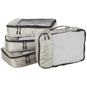 Amazon Basics 4 Piece Packing Travel Organizer Zipper Cubes Set, Medium, Gray