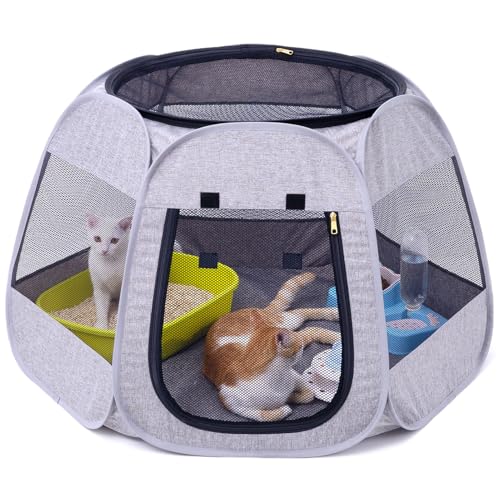 NAFU ܂肽ݎLpvCT[NA`fUCŗԂPAOŎqLqp̃|[^uybgegA̗Vт̈͂ẢƂƃRh~jA