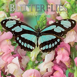 The Gifted Stationery 2023 Monthly Wall Calendar - Butterflies. 12 x 12 inch, 16 Months Calendar Planner For Family Home And Office With Space For Birthdays And Notes