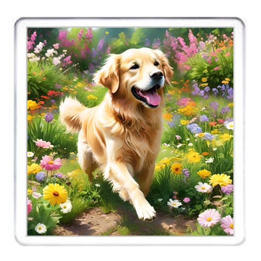 Untersetzer mit Golden Retriever-Motiv, 4 verschiedene Golden Retriever-Hundebilder auf 10 x 10 cm Acryl-Untersetzer. Untersetzer-Set in Box