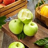 10samen äpfel - balkon deko apfelbaum, obstbäume säulenobst winterhart winterharte für garten,...