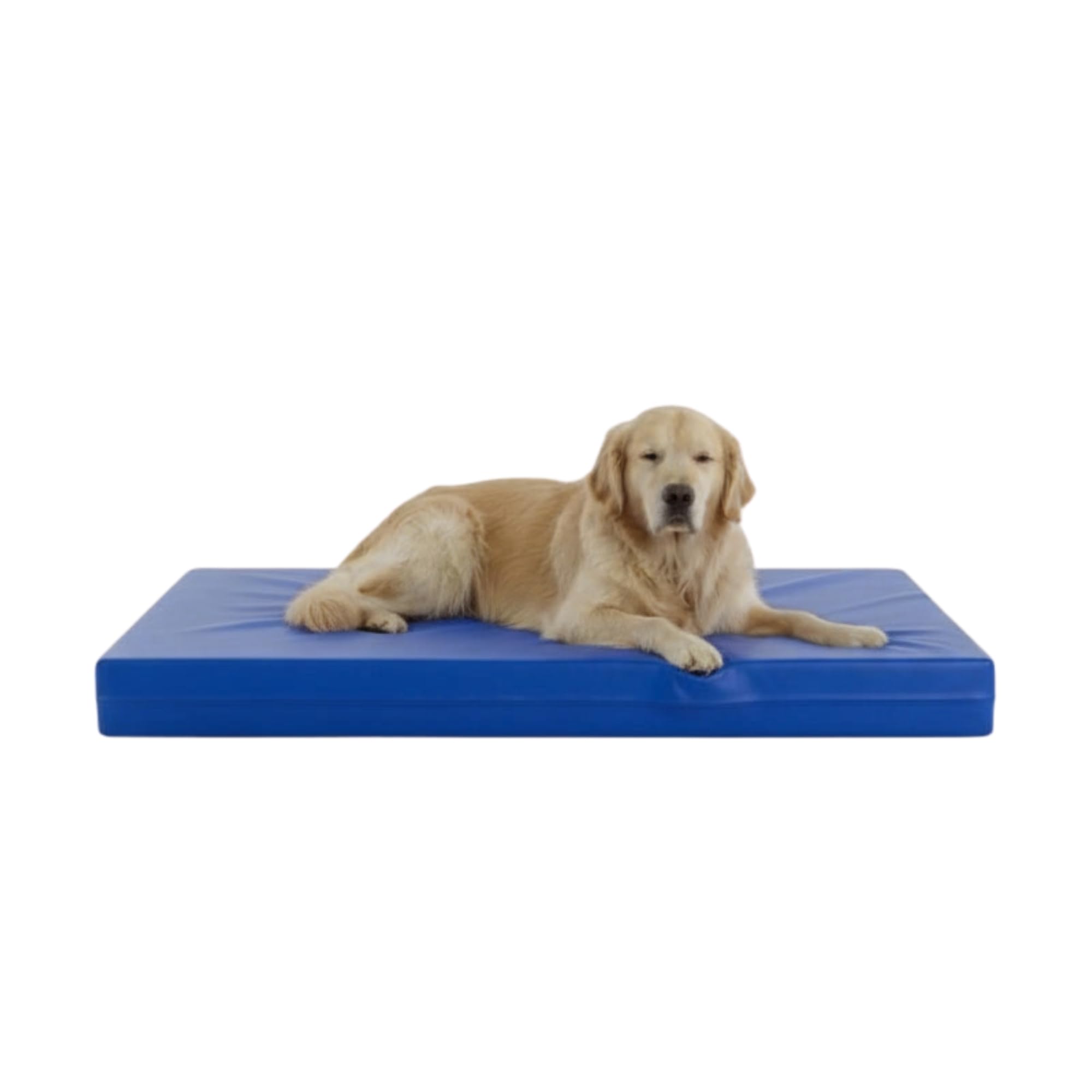 Kosiproducts Replacement Dog Bed Cover, Royal Blue Spare Cover for Pet Beds, Anti Pill Fleece, Machine Washable, Zip Fastening To Fit [100cm x 100cm x 10cm]