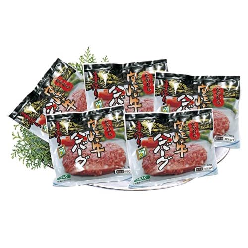 中村食肉 なかむら 宮崎牛ハンバーグ ソース付き