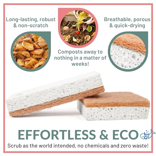 Image of bioGo White 12 Pack Biodegradable Kitchen Sponge - Eco-Friendly, Compostable, Natural Cellulose Dish - Compostable - Biodegradable - Cellulose Sponges Kitchen