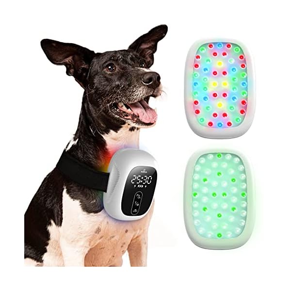 PUPCA-Cold-Laser-Therapy-Device-for-Dogs-with-Hip-Joint-Pain-and-Mobility-Issues-Home-Laser-Therapy-Clear-Skin-Infections-Red-Light-Therapy-Vet-Device-for-Muscle-Pain-from-Dog-Arthritis PUPCA Cold Laser Therapy Device for Dogs | Hip & Joint Pain Relief
