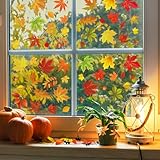 Zindoo 60 Stück Fensterbilder Herbst