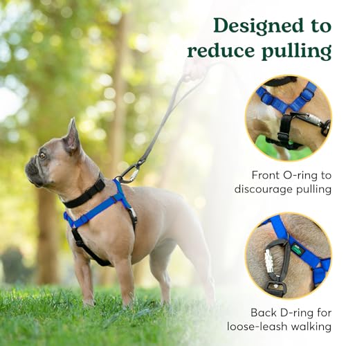 Better Walk No-Pull Dog Harness, Royal Blue, Small – Stay in Control with Adjustable, Comfortable, Easy to Wear, & Durable Dog Harness – Ideal for Small Dogs 21-35lbs with 20”-24” Girth Better Walk No-Pull Dog Harness, Royal Blue, Small – Stay in Control with Adjustable, Comfortable, Easy to Wear, & Durable Dog Harness – Ideal for Small Dogs 21-35lbs with 20”-24” Girth