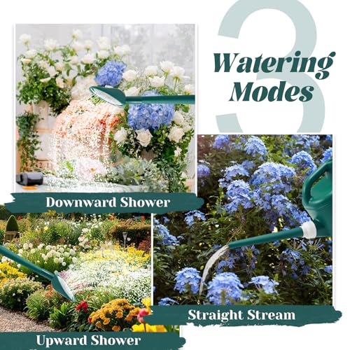 Image of 1 Gallon Watering Can, Garden Watering Can Outdoor, Plant Water Can with Removable Long Spout and Stainless Steel Sprinkler Head, Plastic Indoor Watering Cans for Gardening Flower Plants