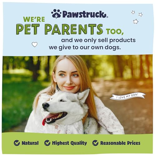 Pawstruck Large 5-6” Filled Dog Bones Variety Pack – Peanut Butter, Cheese & Bacon, Beef Flavors – Made in USA Long Lasting Stuffed Femur Treat for Aggressive Chewers – Pack of 3 – Packaging May Vary