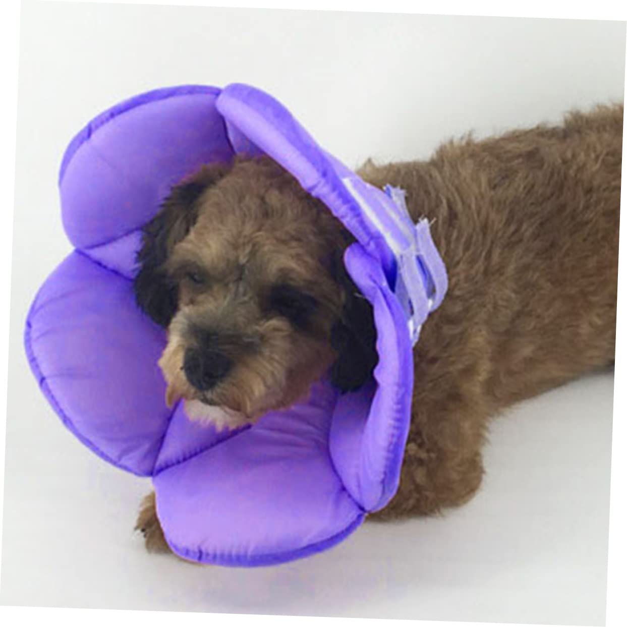 Yardwe 3 Stück Hundehalsbänder Für Verletzungen Elisabethanisches Design Kreatives Blumendesign Leicht Bequem Bonbonfarben Größe L