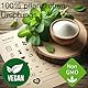 Ultra-konzentriertes Stevia-Pulver (50g) | 98% Reba-98 Pur | 470x süßer als Zucker