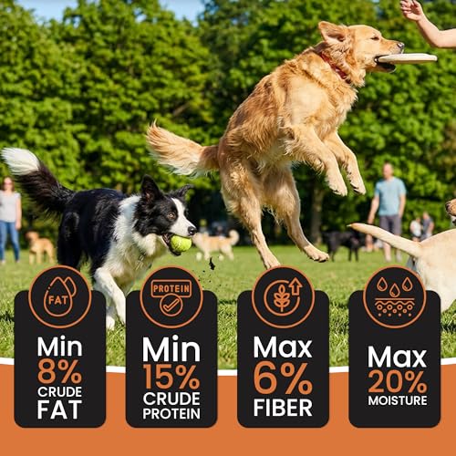 Image of Dr. Pets Pack of 10 Pumpkin Carrot Dog Chew Sticks, Dental Stick, Calcium Bone and Chicken Dog Biscuits Healthy Treats and Training Snacks Long Lasting Chew Sticks for Small and Large Breed