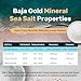 Baja Gold Mineral Sea Salt - Recommended by Gary Brecka - Organic Natural Grain Salt for Cooking & Baking | Authentic Baja Salt | Ideal for All Culinary Creations | 1 lb. Resealable Bag, 300+ Servings