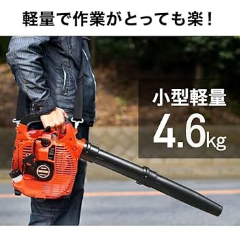 ブロワー 51fH1lKhiCL._UF350,350_QL80_.jpg