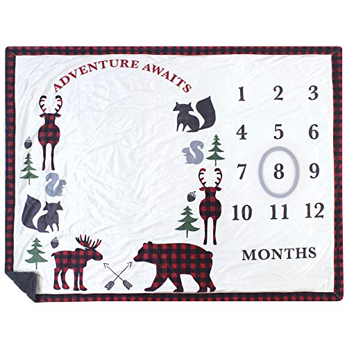 Hudson Baby Unisex Baby Plush Holiday and Milestone Blanket, Red Black Plaid, One Size