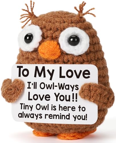 Valentines Day Owl Gifts for Her Him Girlfriend Boyfriend, I Love You Romantic Valentines Anniversary Birthday Handmade Crochet Owl for Wife Husband Couple Lover, To My Love Gifts for Women Men